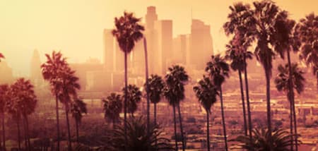 Palm trees silhouetted against a golden sunset with the downtown Los Angeles skyline.
